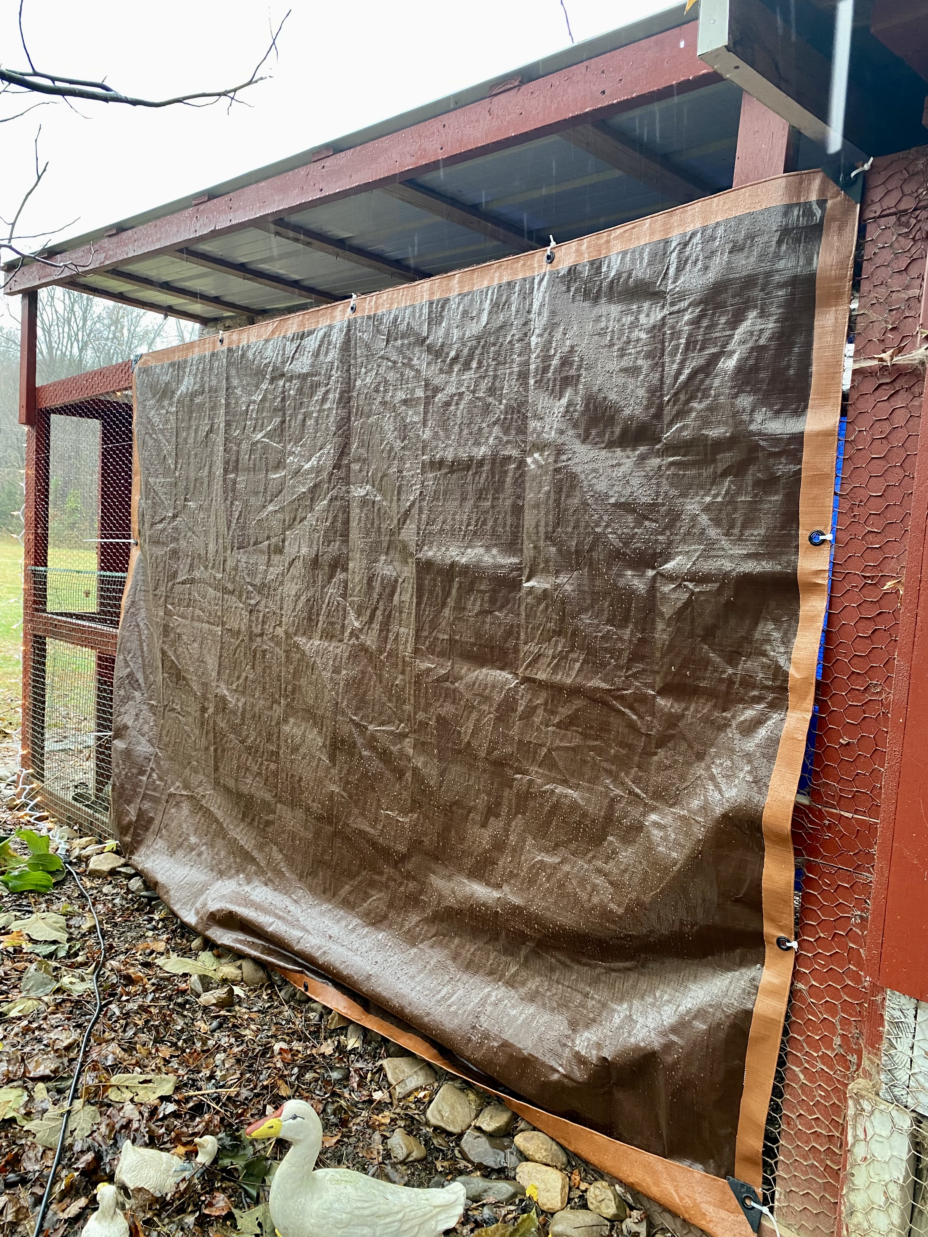 tarps for chicken run