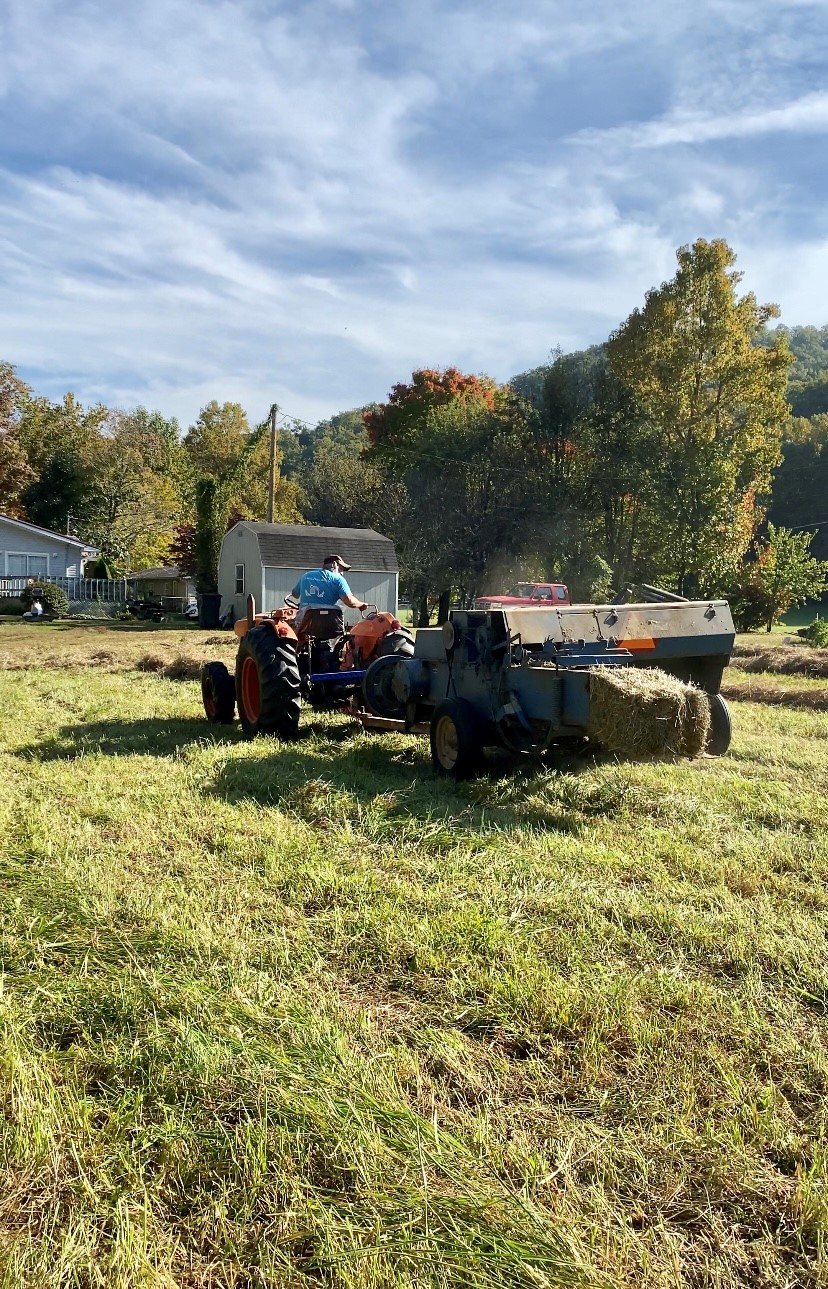 farming hay