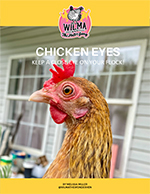 Wilma's Chicken Eyes E-Book PDF to download