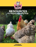 Wilma's Resource E-Book PDF to download