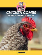 Wilma's Chicken Combs E-Book PDF to download